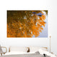 Autumn Reflections Wall Mural