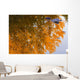 Autumn Reflections Wall Mural