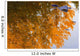 Autumn Reflections Wall Mural