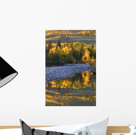 Autumn Reflections Wall Mural