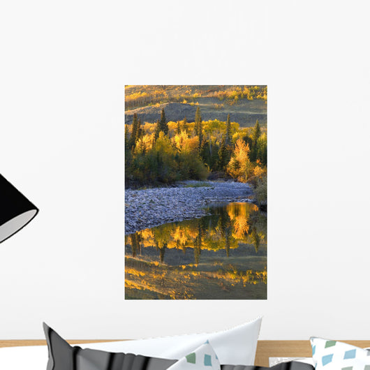 Autumn Reflections Wall Mural