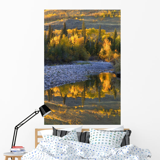 Autumn Reflections Wall Mural
