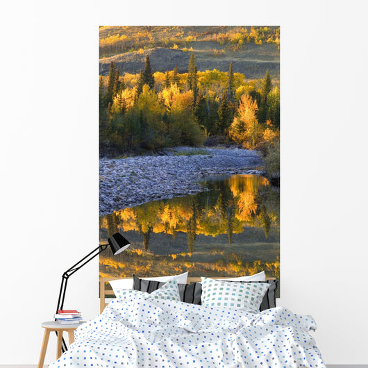 Autumn Reflections Wall Mural
