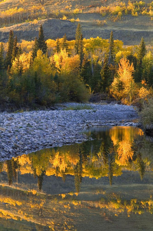 Autumn Reflections Wall Mural