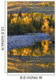 Autumn Reflections Wall Mural