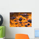 Autumn Reflections Wall Mural