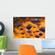 Autumn Reflections Wall Mural