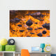 Autumn Reflections Wall Mural