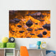 Autumn Reflections Wall Mural