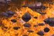 Autumn Reflections Wall Mural
