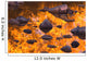 Autumn Reflections Wall Mural