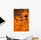 Autumn Reflections Wall Mural