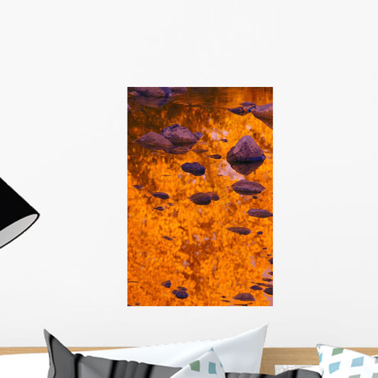 Autumn Reflections Wall Mural