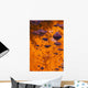 Autumn Reflections Wall Mural