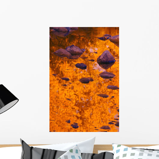 Autumn Reflections Wall Mural