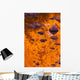 Autumn Reflections Wall Mural