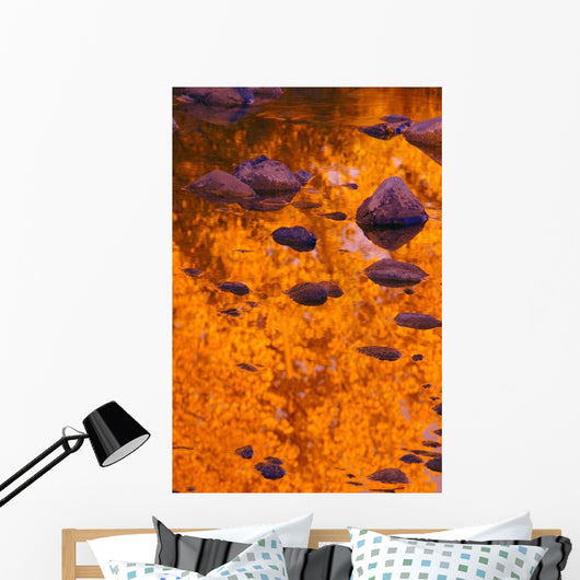 Autumn Reflections Wall Mural