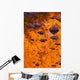 Autumn Reflections Wall Mural
