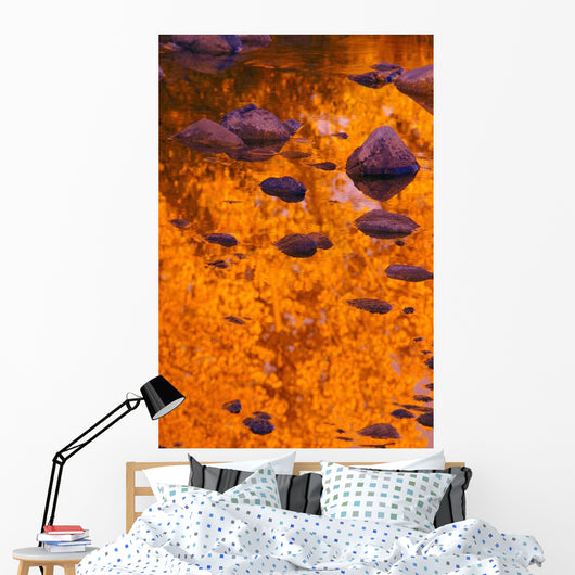 Autumn Reflections Wall Mural