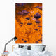 Autumn Reflections Wall Mural