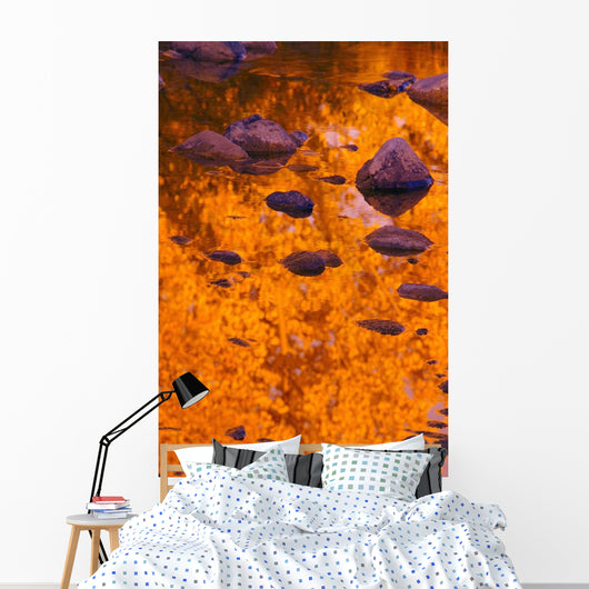 Autumn Reflections Wall Mural