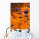 Autumn Reflections Wall Mural