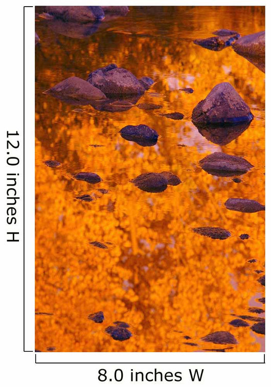 Autumn Reflections Wall Mural