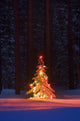 Lit Christmas Tree In A Forest Wall Mural