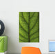Closeup Of A Leaf Wall Mural