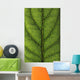 Closeup Of A Leaf Wall Mural