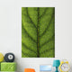 Closeup Of A Leaf Wall Mural