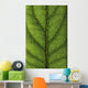 Closeup Of A Leaf Wall Mural
