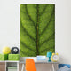 Closeup Of A Leaf Wall Mural