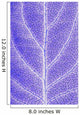 Monotone Close Up Of Leaf Wall Mural