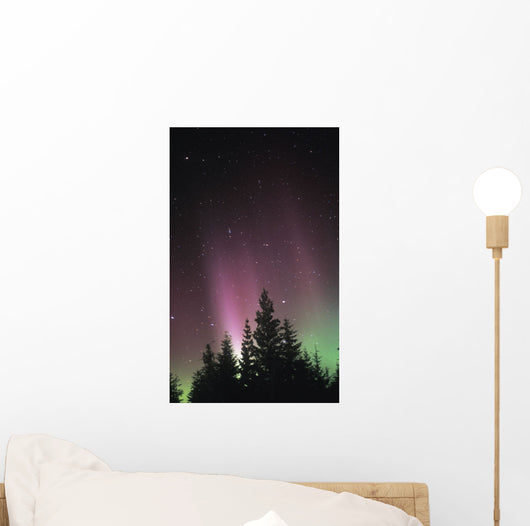 Northern Lights Wall Mural