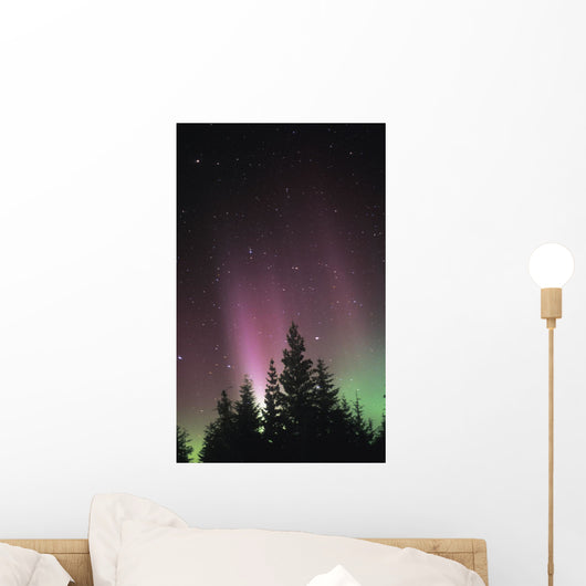 Northern Lights Wall Mural