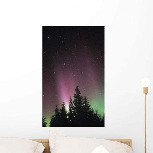 Northern Lights Wall Mural