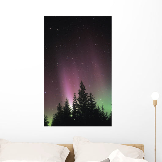 Northern Lights Wall Mural