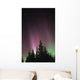 Northern Lights Wall Mural