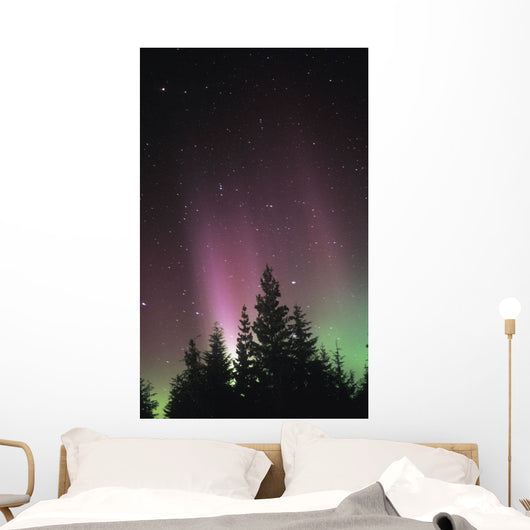 Northern Lights Wall Mural