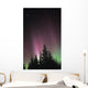 Northern Lights Wall Mural