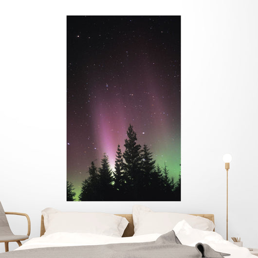 Northern Lights Wall Mural