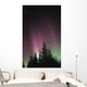 Northern Lights Wall Mural