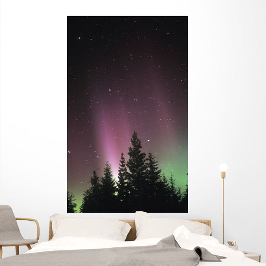 Northern Lights Wall Mural