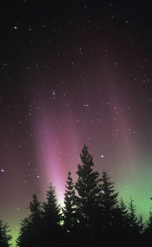Northern Lights Wall Mural