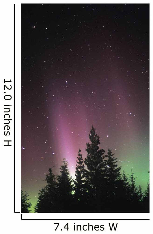 Northern Lights Wall Mural