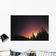 Aurora Borealis Wall Mural