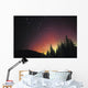 Aurora Borealis Wall Mural