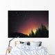 Aurora Borealis Wall Mural