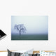Tree Silhouette In Fog Wall Mural